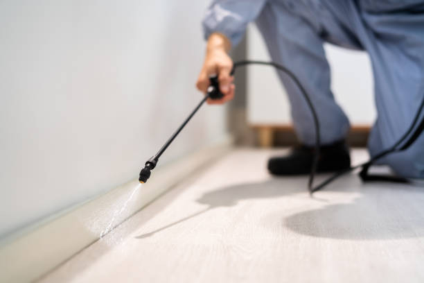 Professional exterminator conducting IPM assessment in Grant City
